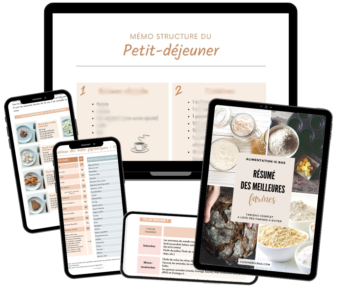 Aperçu des guides pratiques IG bas